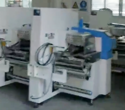 全自動包裝機發貨裝車現場