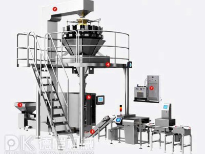 自動包裝機-稱重包裝系統